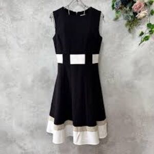 Calvin Klein Black and White Mini Dress